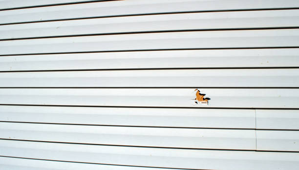 Best Weatherproofing and Sealing  in Vandenberg Af, CA