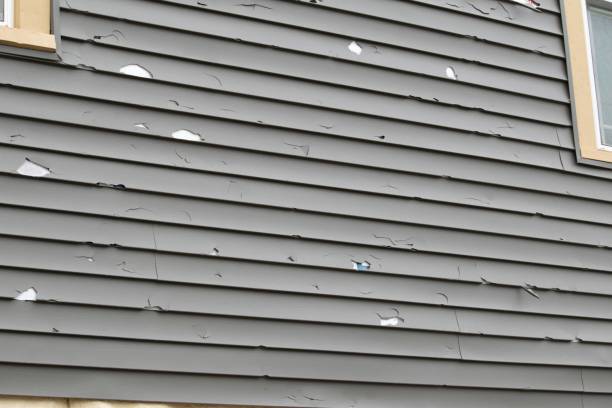 Best Residential Vinyl Siding Installation  in Vandenberg Af, CA